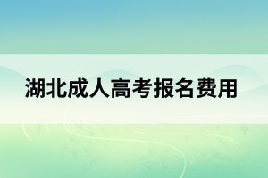 黄石成人高考报名费用